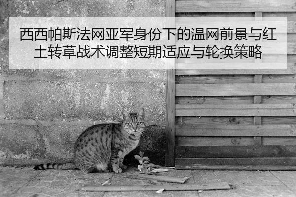 xi-xi-pa-si-fa-wang-ya-jun-shen-fen-xia-de-wen-wang-qian-jing-yu-hong-tu-zhuan-cao-zhan-shu-tiao-zheng-duan-qi-shi-ying-3-194.jpg