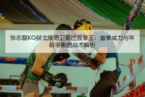 张志磊KO赫戈维奇卫冕过渡拳王：重拳威力与年龄平衡的战术解析
